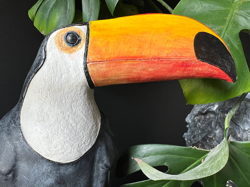 Toucan head handpainted ceramics