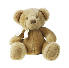 Teddy Bear_edited.png
