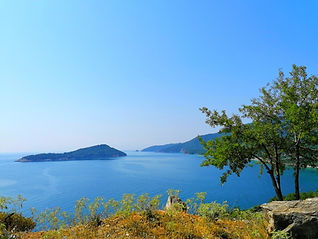 IMG_20210630_105549.jpg