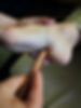 thai stick close up.JPG