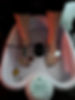 ionic footbath my feet.JPG