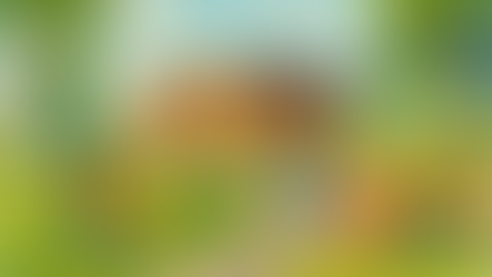 Work starts at Bicclescombe Nursery Ilfracombe