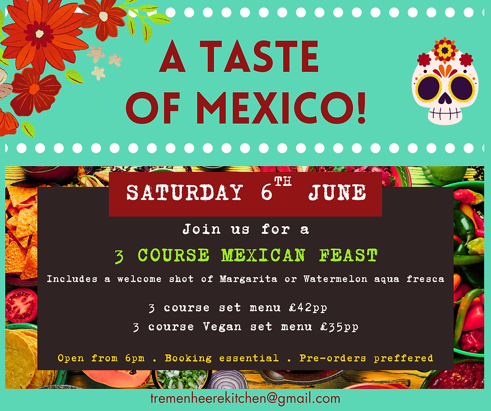 Mexican Night Poster (1).png