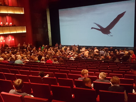Swan Lake in Bord Gáis