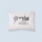 ציפית לכרית עם שם | ציפית לכרית לילדים החלום שלי | מתנות לגנים ובתי ספר | ציפית כדורגל