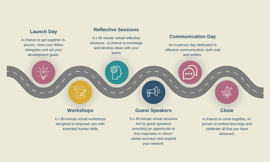 PROGRAMME ROADMAP.png