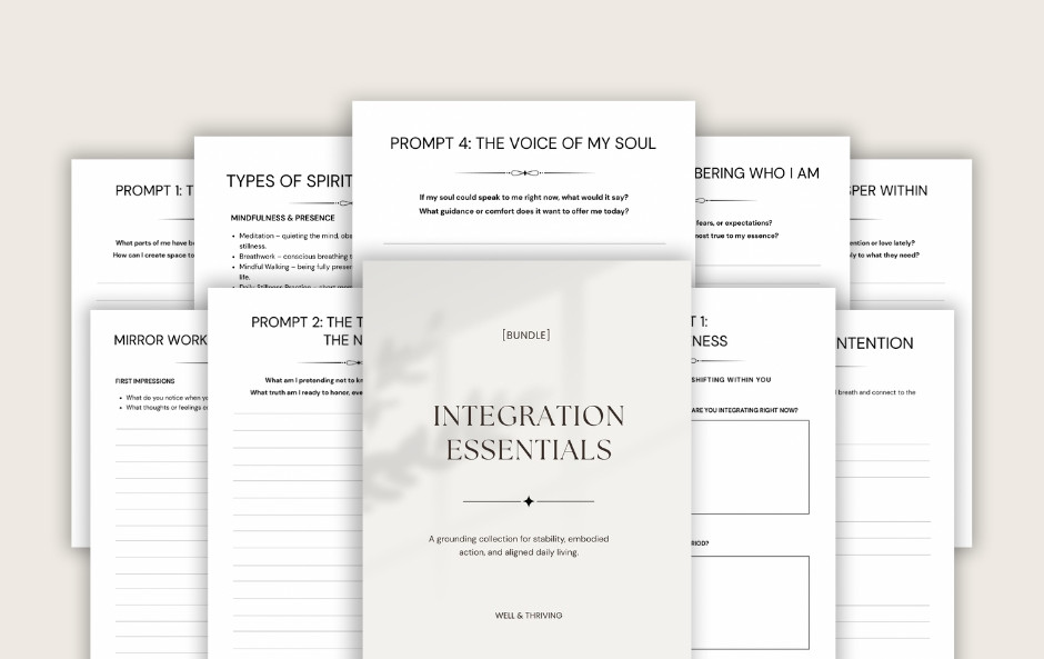 The Integration Bundle Cover.jpeg