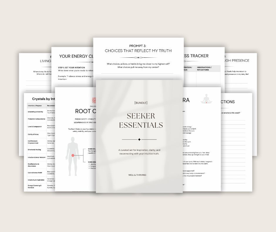 The Seeker Cover Bundle 2.jpeg