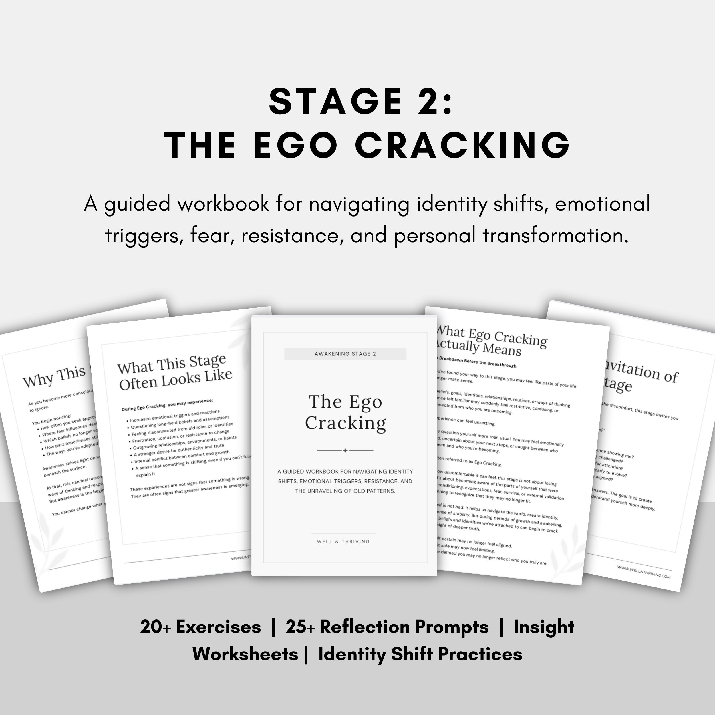 stage-2-ego-cracking-workbook-spiritual-awakening.jpg