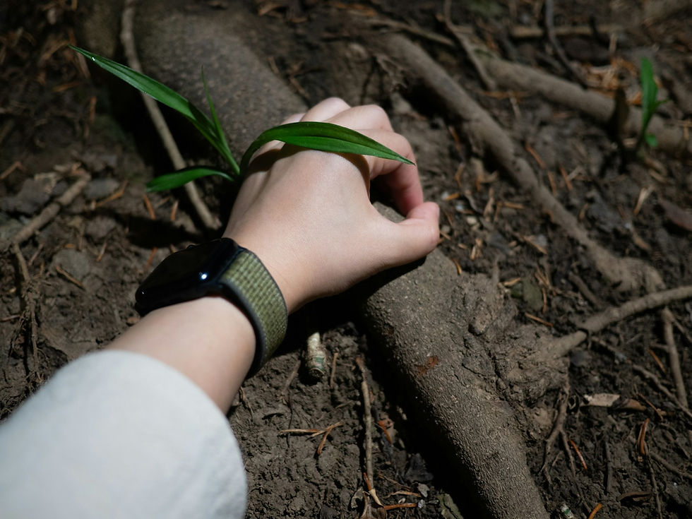 A hand holding a tree root with a small green plant sprouting from it