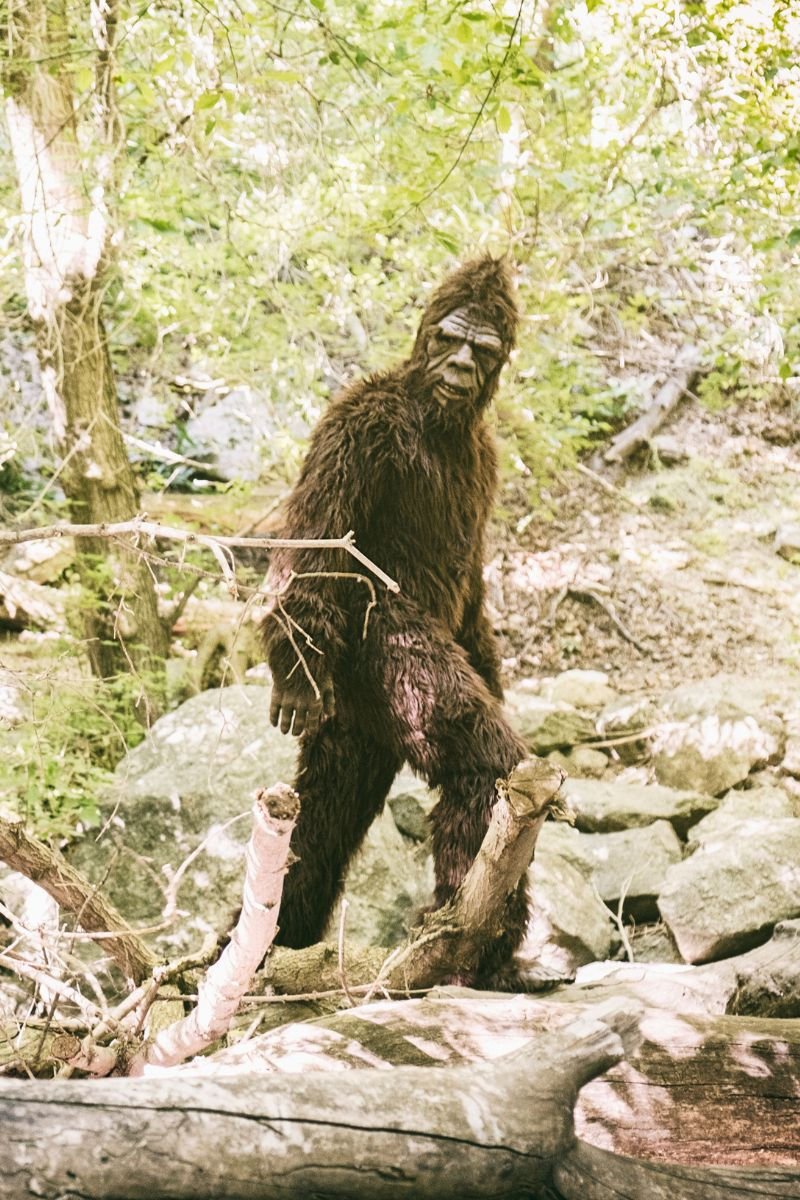 sasquatch walking over a creek