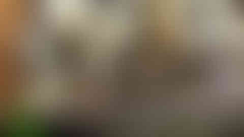 PXL_20220805_174700113.jpg