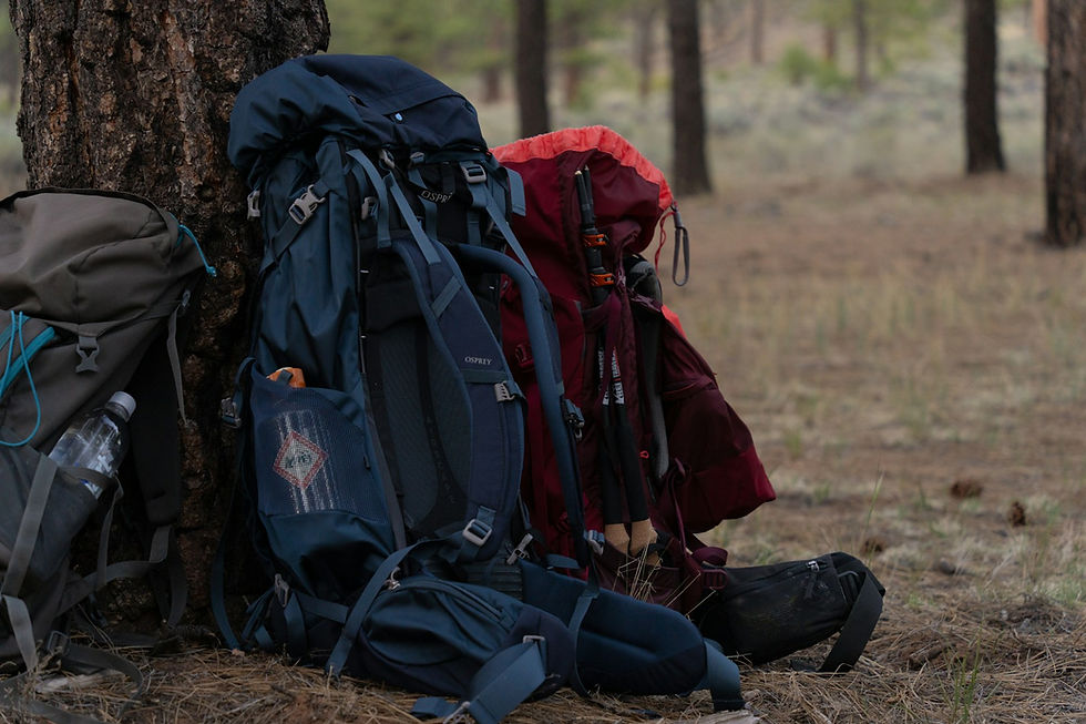 Several backpacks leaning against a tree in a forest