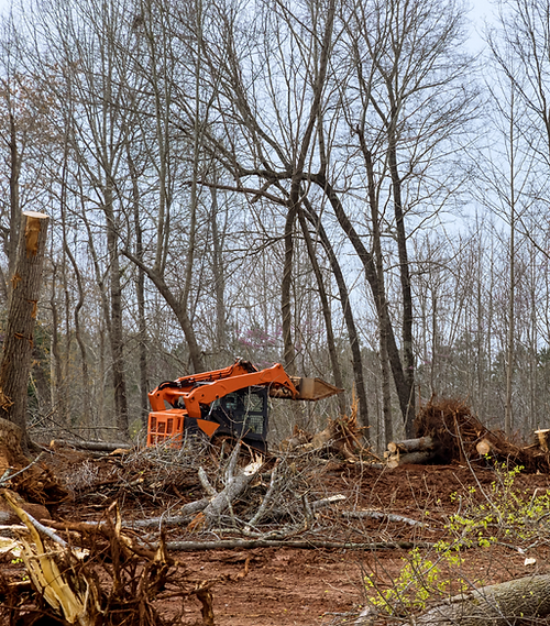 land clearing on omaha ne