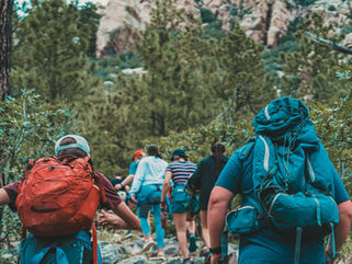 A group of people hiking together along a forest trail