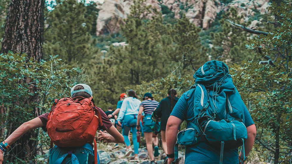 A group of people hiking together along a forest trail