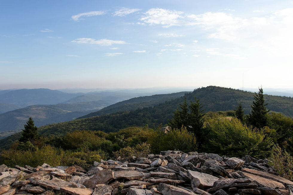 A wide view of a forested mountain range from a rocky summit
