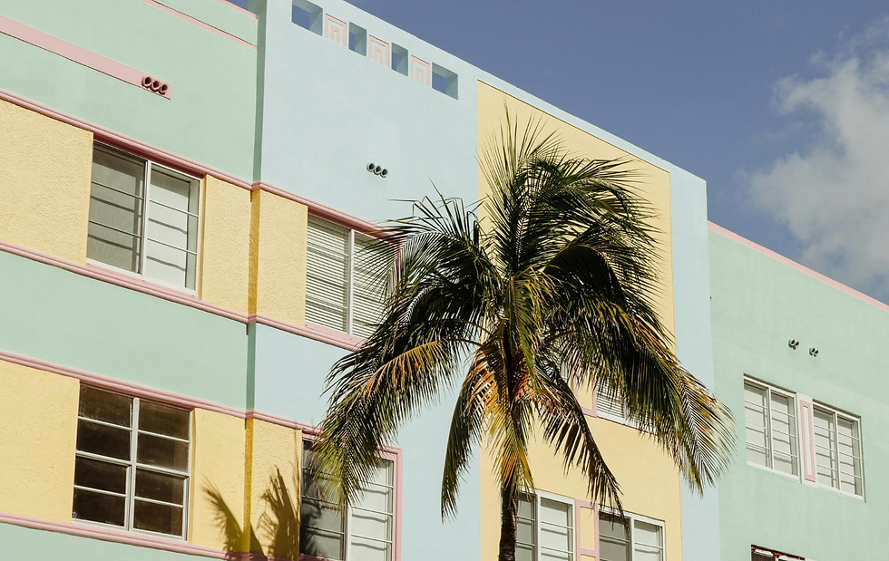 typical miami appartment building with a palm tree outside