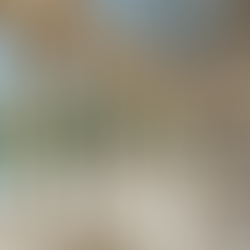 Unique Aspects of Building in St Petersburg FL Compared to Other Locations