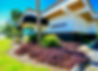 fullsizeoutput_2da13.jpeg