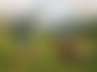 two people attempting to do cartwheels in a meadow in the mountains