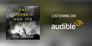 splendid and the vile audible.jpg