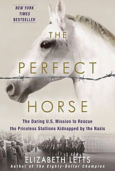 Adult The Perfect Horse cover.jpg