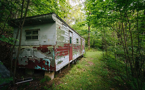 The Demon Copperhead Guardian review.jpg