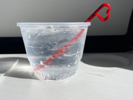No. 4 - Flight Amenities