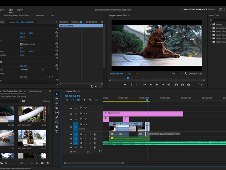 No. 6 - The Art of Film Making