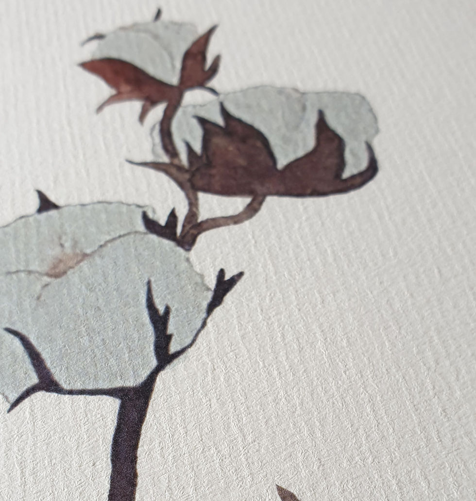 Thumbnail: 36 - A6 Card Cotton