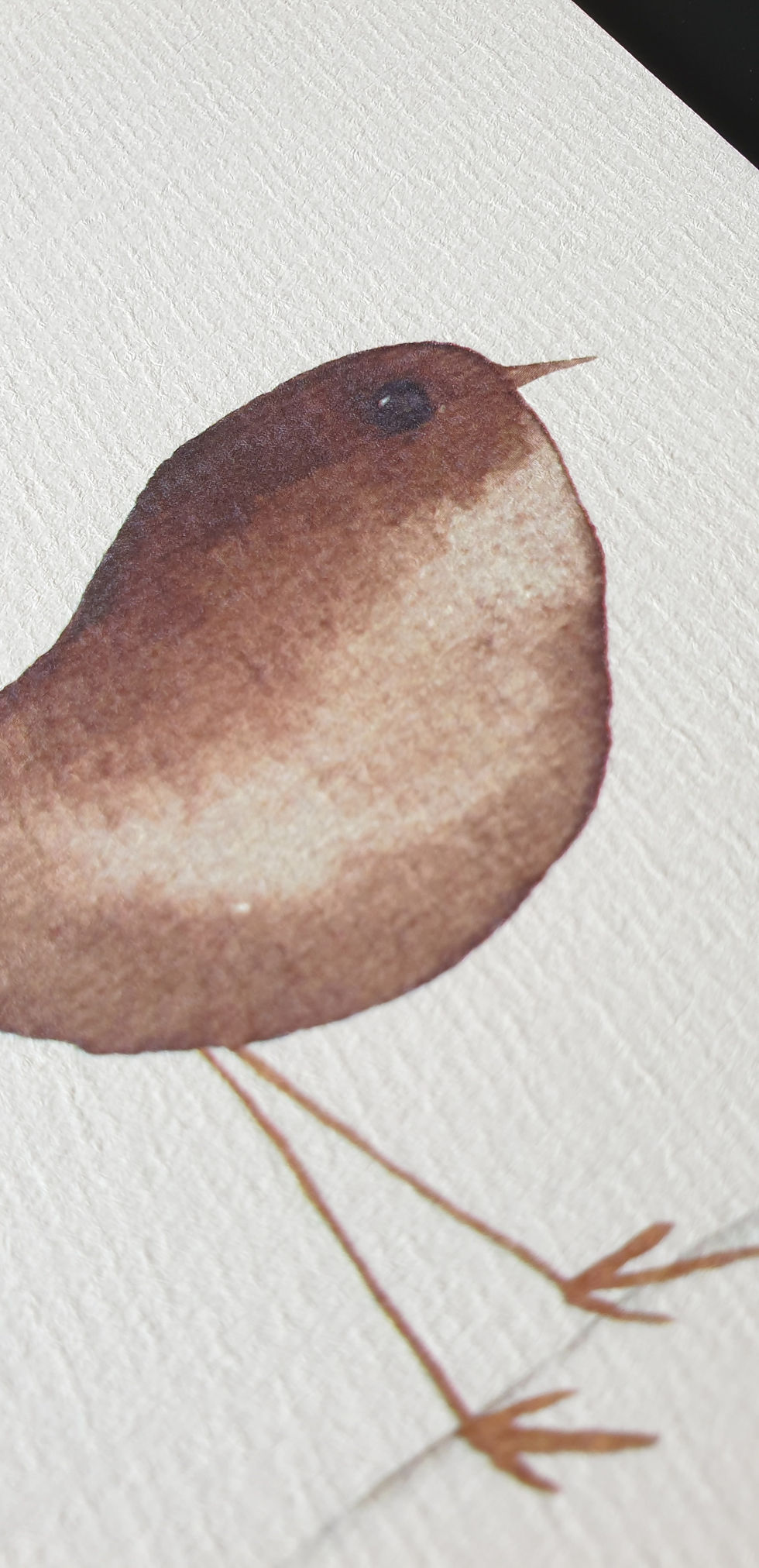 Thumbnail: 50 - Bird