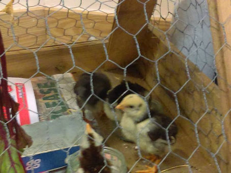 Only At The West End Centre!!