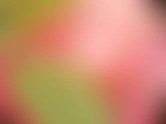 Feelgood Thursday- Taking a different view of Little Horton