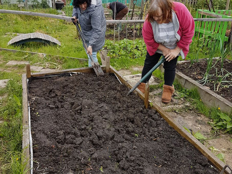 Guess what I'm upto? I really need your help!