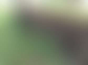 Don’t let species go extinct, in this world we are all linked....