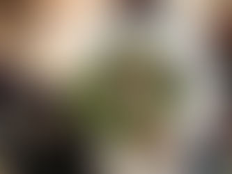 Celebrating our volunteers- view the gallery