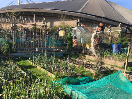 Digging in for Spring