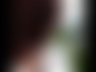 A guided tour of the allotment