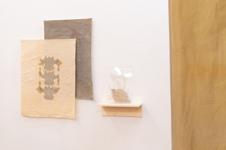 ANGELINA NOGUEIRA_PAREIDOLIA EXPO 2025 © Yasmine Moradalizadeh _ -67.jpg