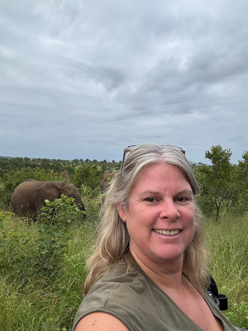 Wildlife Afrika