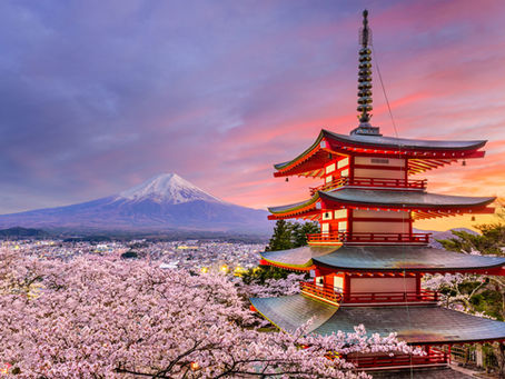 Van Sushi tot Sakura, een onvergetelijke reis door Japan.