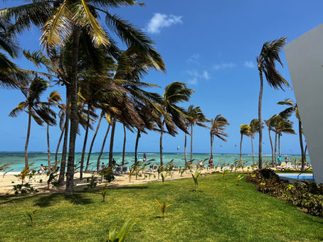 Van ligbed naar safaritent: onze tropische tweeluik Mauritius & Kenia