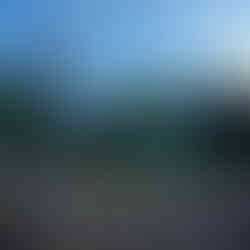 Een dag door Disney's Hollywood studio's kun je slim plannen met de Disney app.