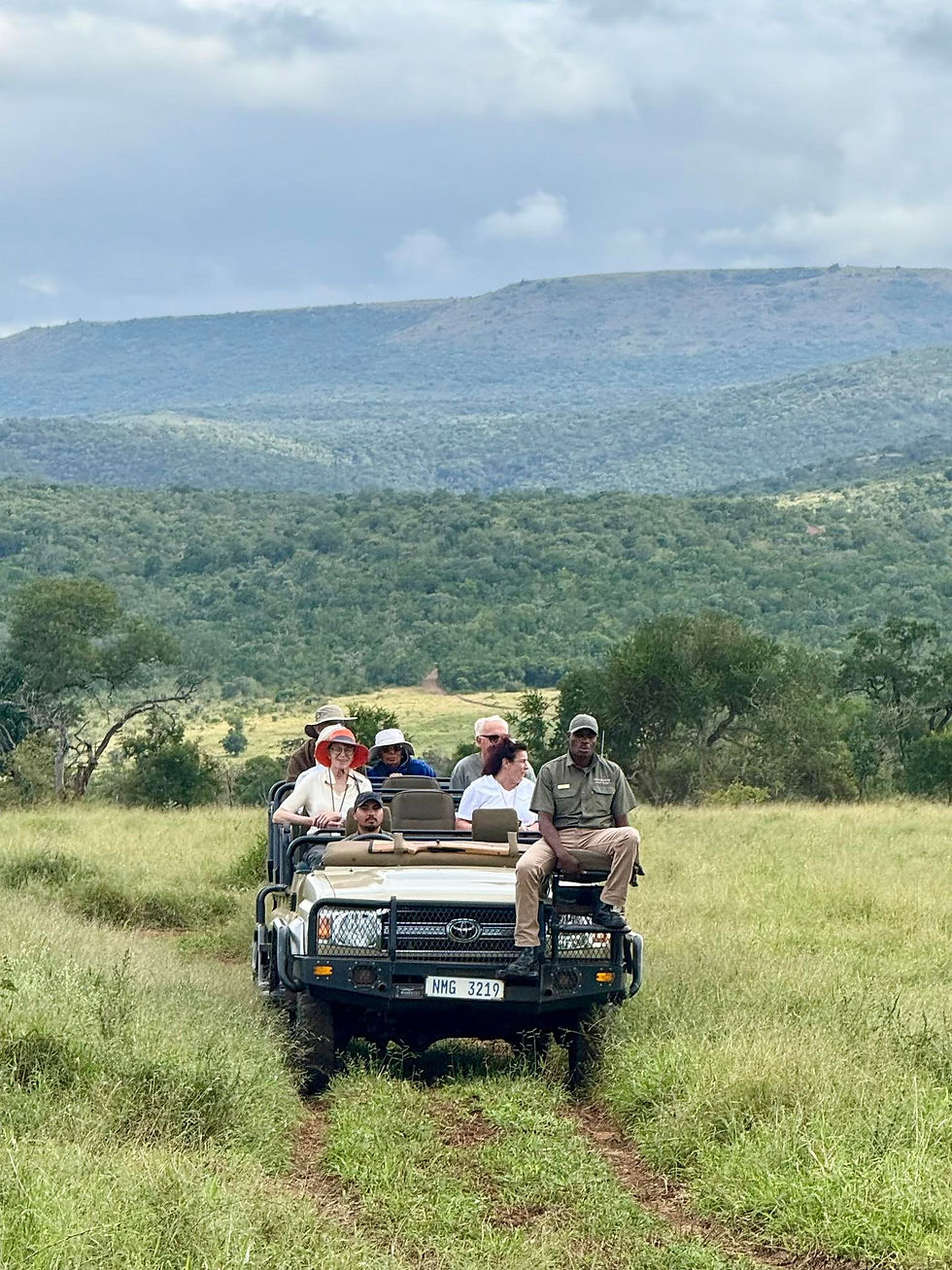 Safari Sabi Sands Zuid Afrika