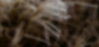 stories-QnSDtJCvZL0-unsplash copia.jpg