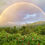 Thumbnail: Sumac Rainbow in Acadia, ME Wooden Puzzle