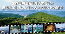 ブログ_サムネイル_奄美大島おすすめスポット