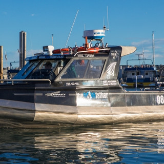 Local Fishing Charters