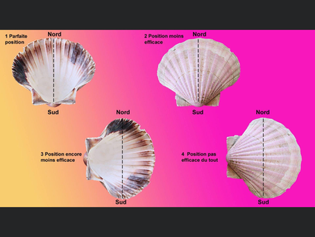 Recharger vos pierres
